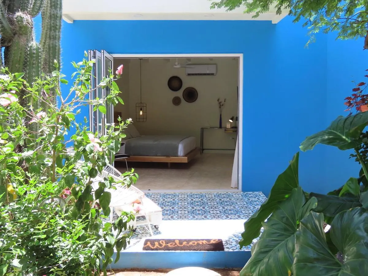 Naima Luxury Home, Cottage & Apartment Rentals Paradera Lodge