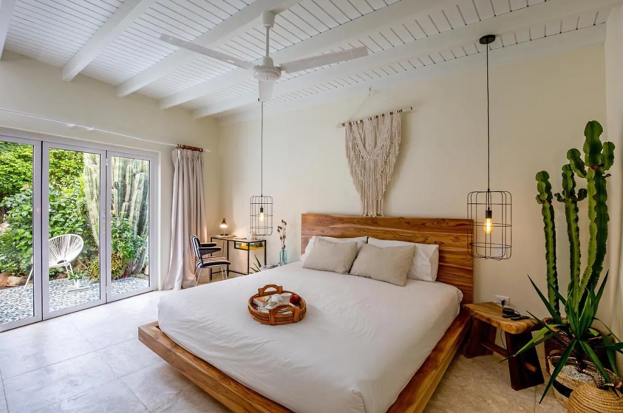 Naima Luxury Home, Cottage & Apartment Rentals Paradera 0*,