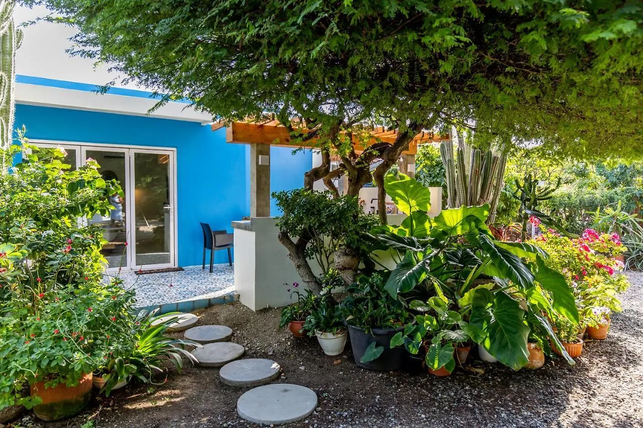 Lodge Naima Luxury Home, Cottage & Apartment Rentals Paradera