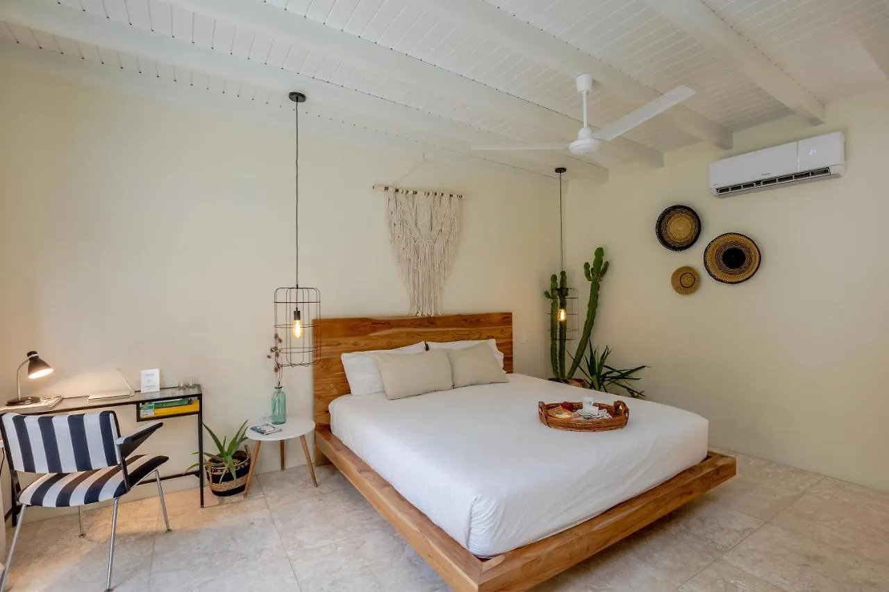 Naima Luxury Home, Cottage & Apartment Rentals Paradera