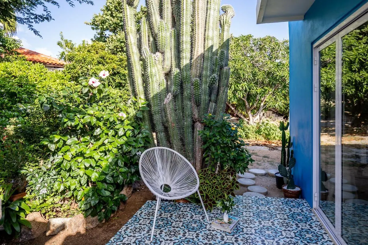 Naima Luxury Home, Cottage & Apartment Rentals Paradera Aruba